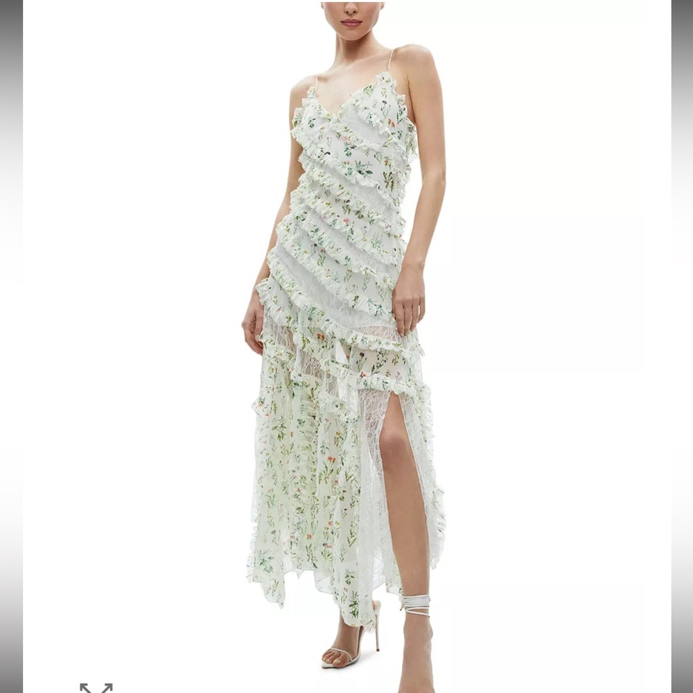Alice and Olivia Sondra Lace Dress